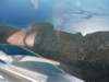 dscf0717_small.jpg
