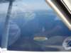 dscf0719_small.jpg