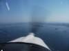 dscf0721_small.jpg