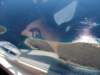 dscf0733_small.jpg