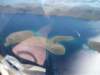 dscf0739_small.jpg