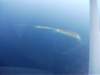 dscf0791_small.jpg