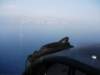 dscf0836_small.jpg
