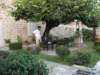 dscf0892_small.jpg