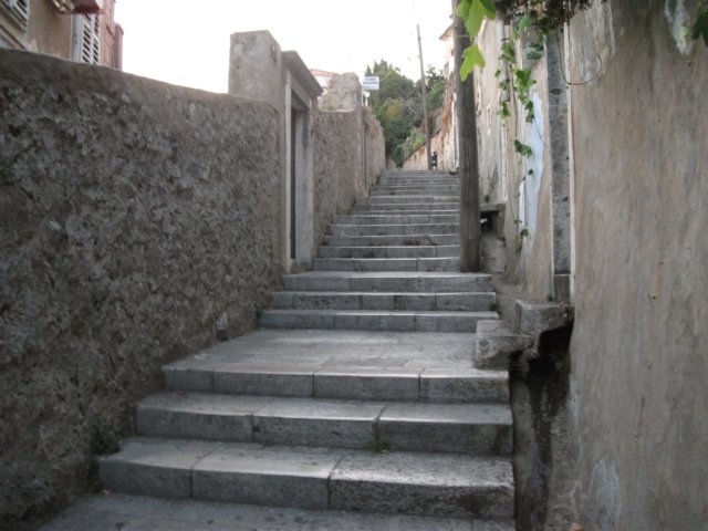 dscf0893.jpg