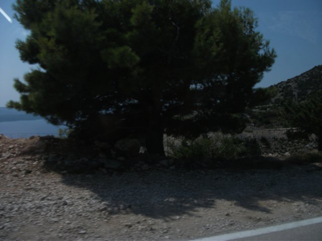 dscf0966.jpg