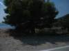 dscf0966_small.jpg