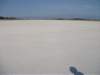 dscf0981_small.jpg