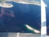 dscf1013_small.jpg