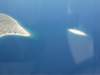 dscf1025_small.jpg