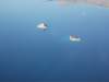 dscf1026_small.jpg