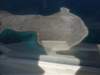 dscf1031_small.jpg