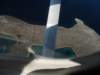 dscf1033_small.jpg