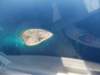 dscf1048_small.jpg