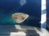 dscf1049_small.jpg