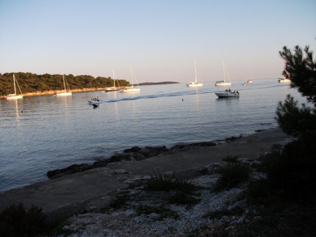 dscf1101.jpg