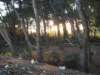 dscf1106_small.jpg