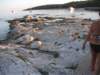 dscf1108_small.jpg